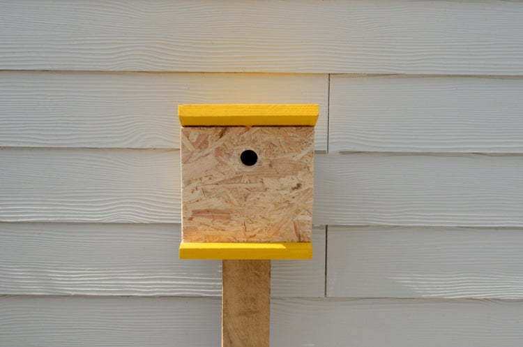 Bird Boxes