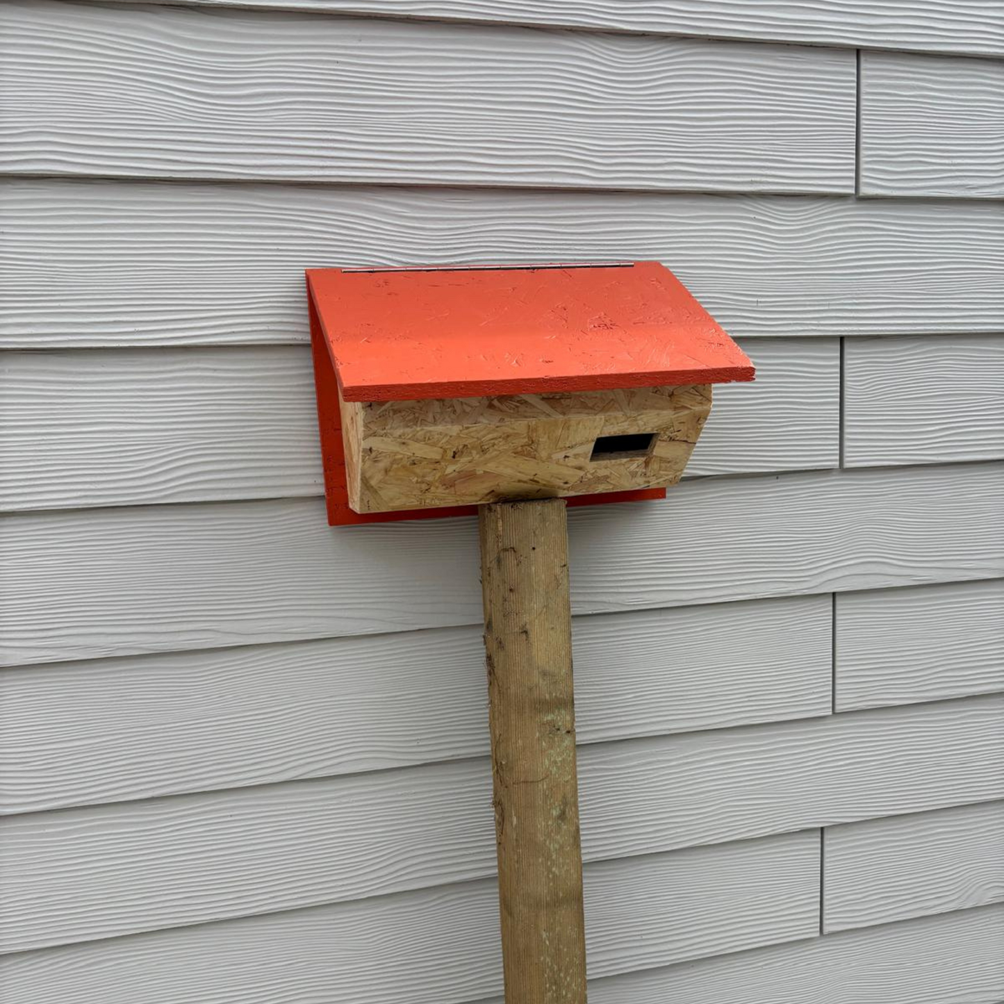 The Swift | Bird Box
