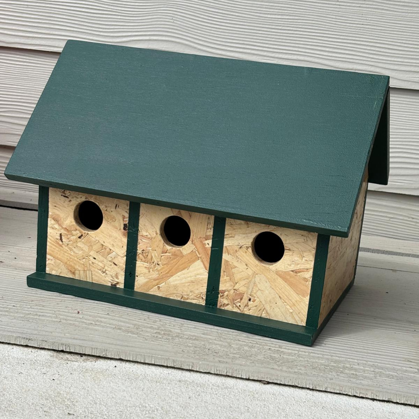 The Terrace | Bird Box