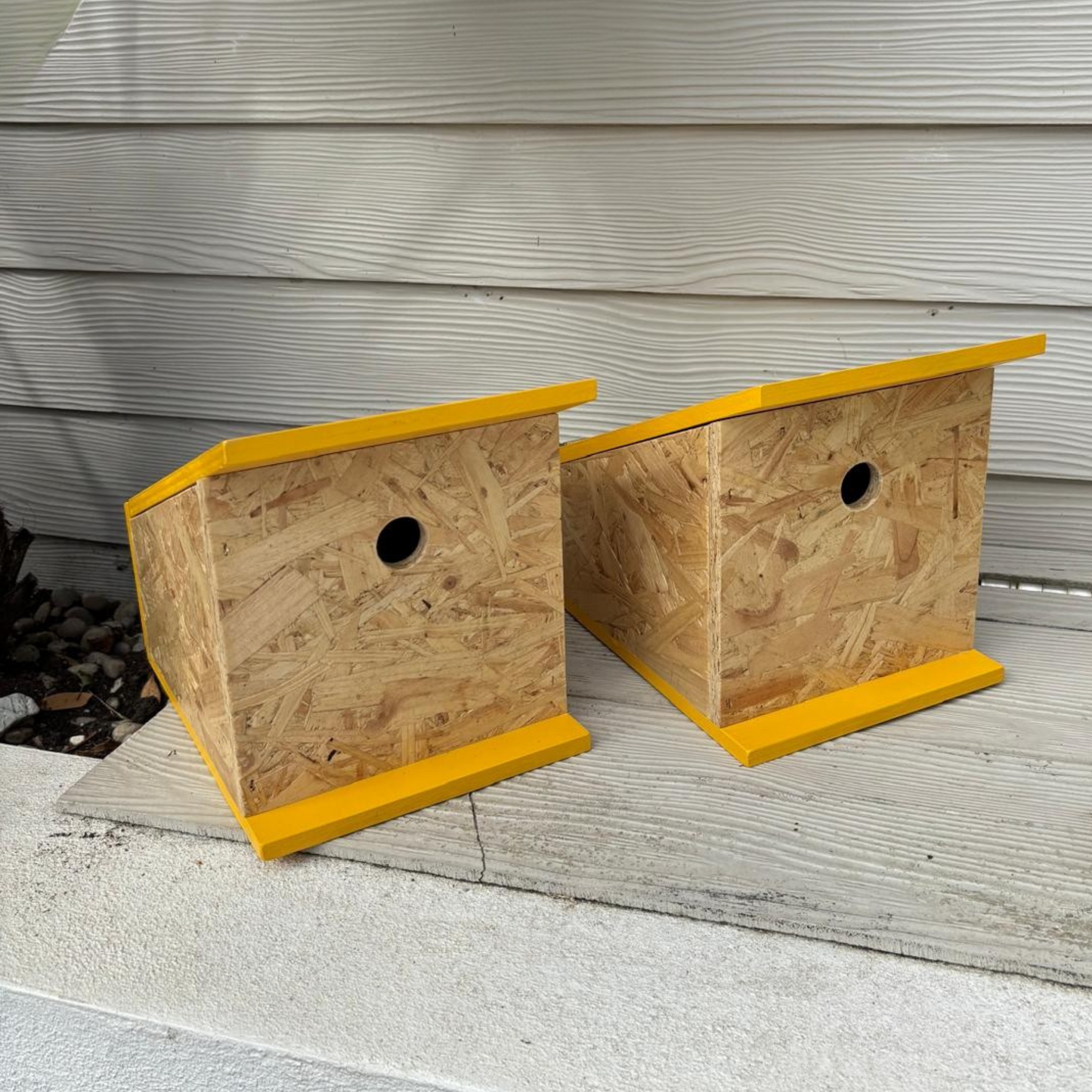 The Classic | Bird Box