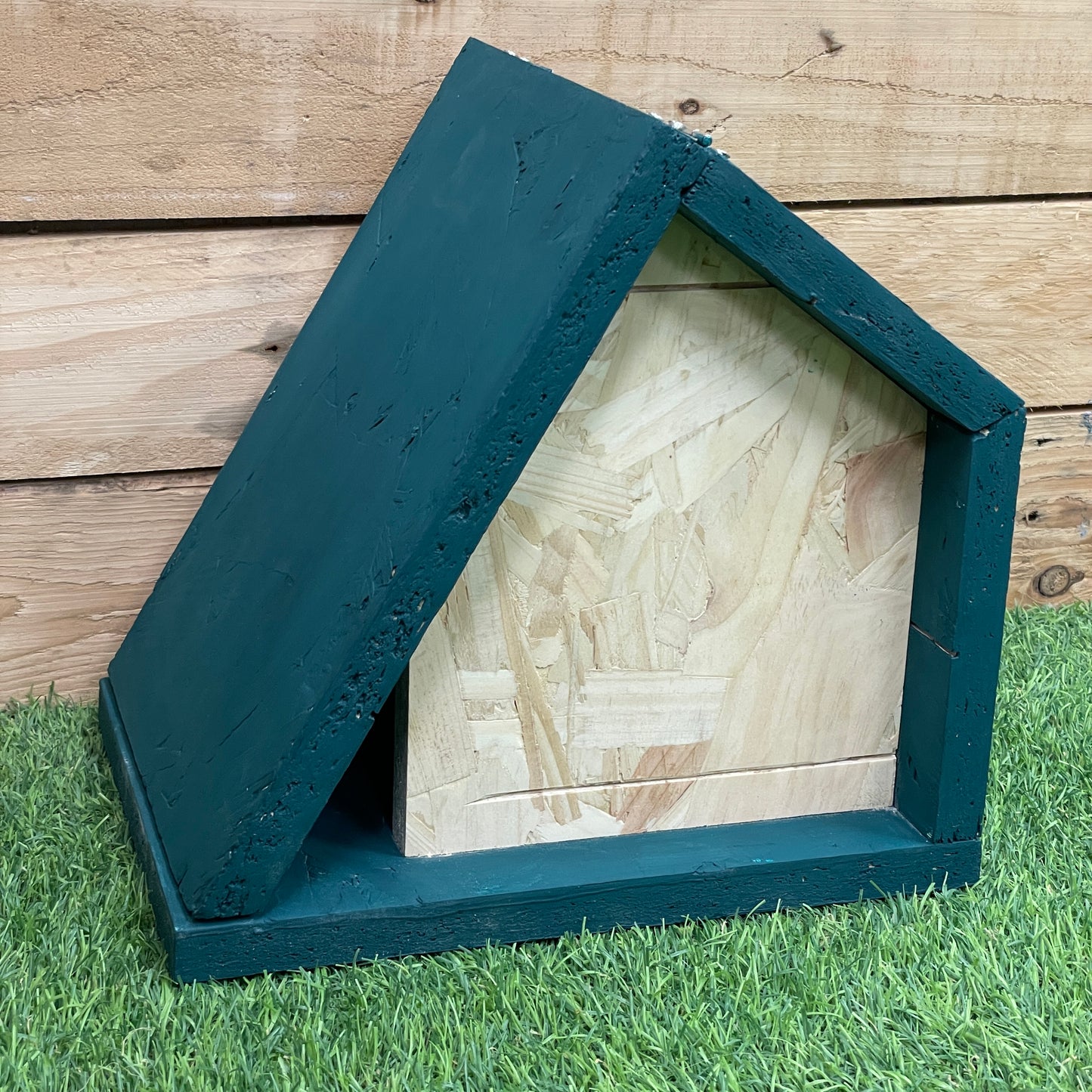 The Wren | Bird Box