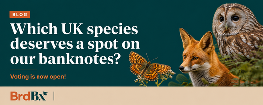 Your Chance to Put UK Wildlife on Our Banknotes!