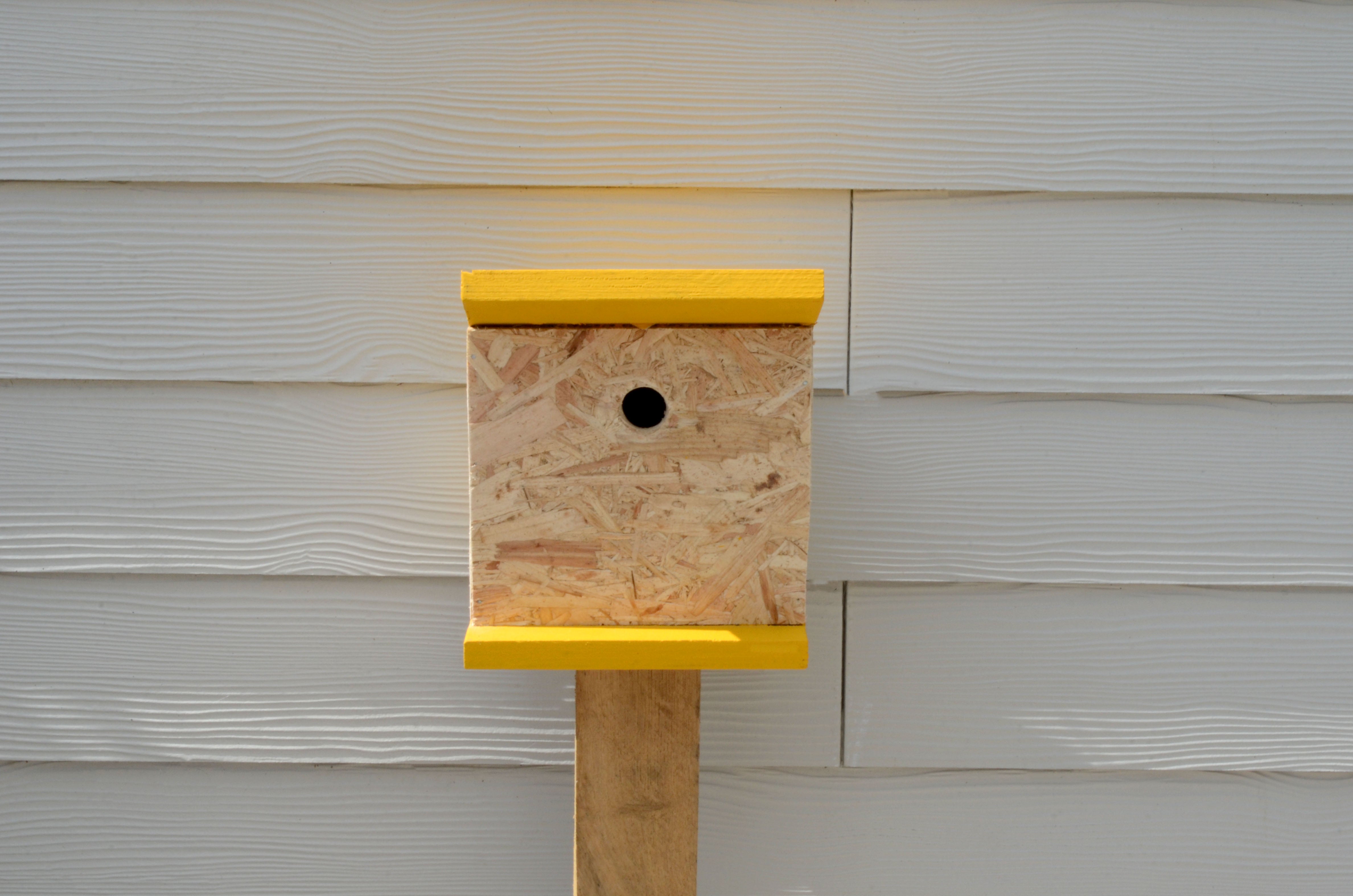 Bird Box Extension Bird Boxes – BRDBX