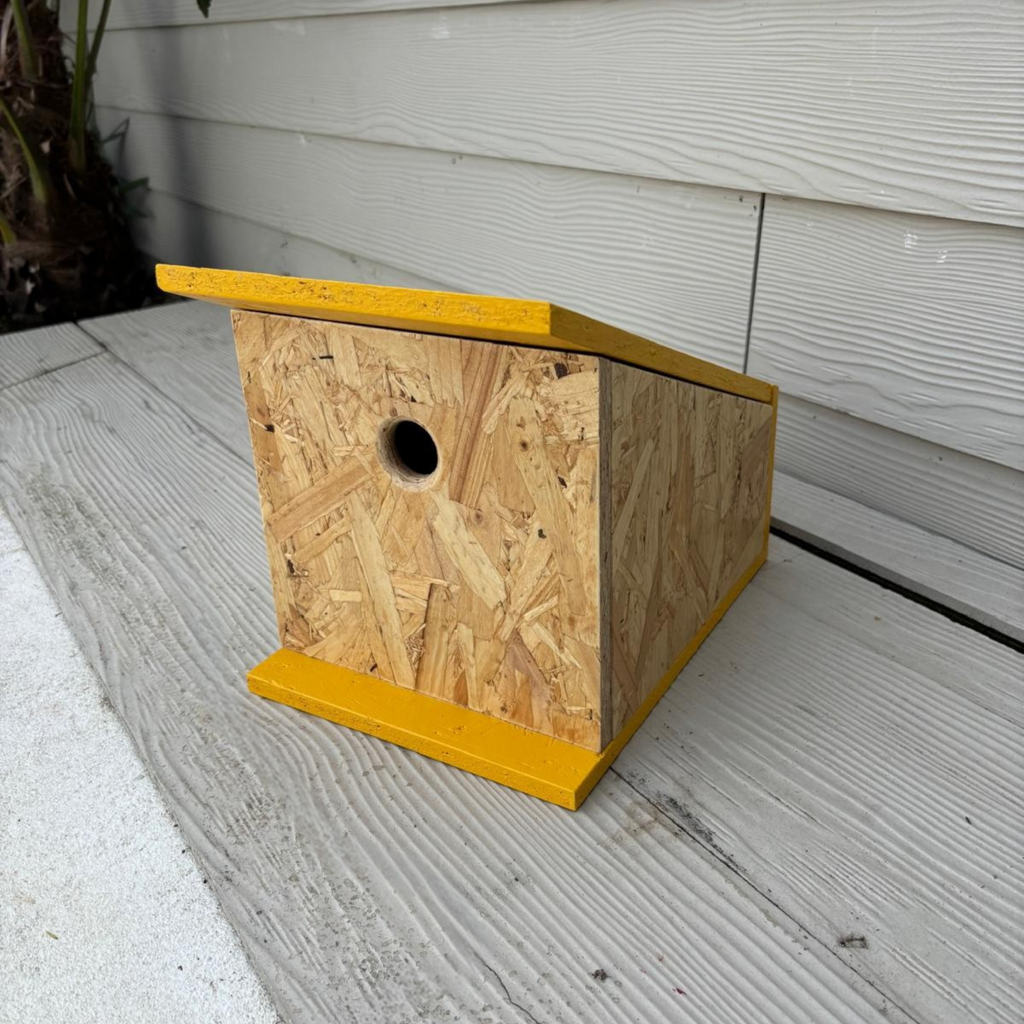 The Classic | Bird Box