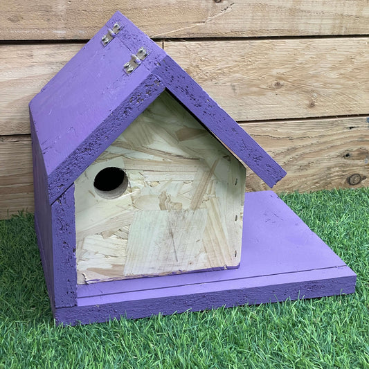 The Flit | Bird Box