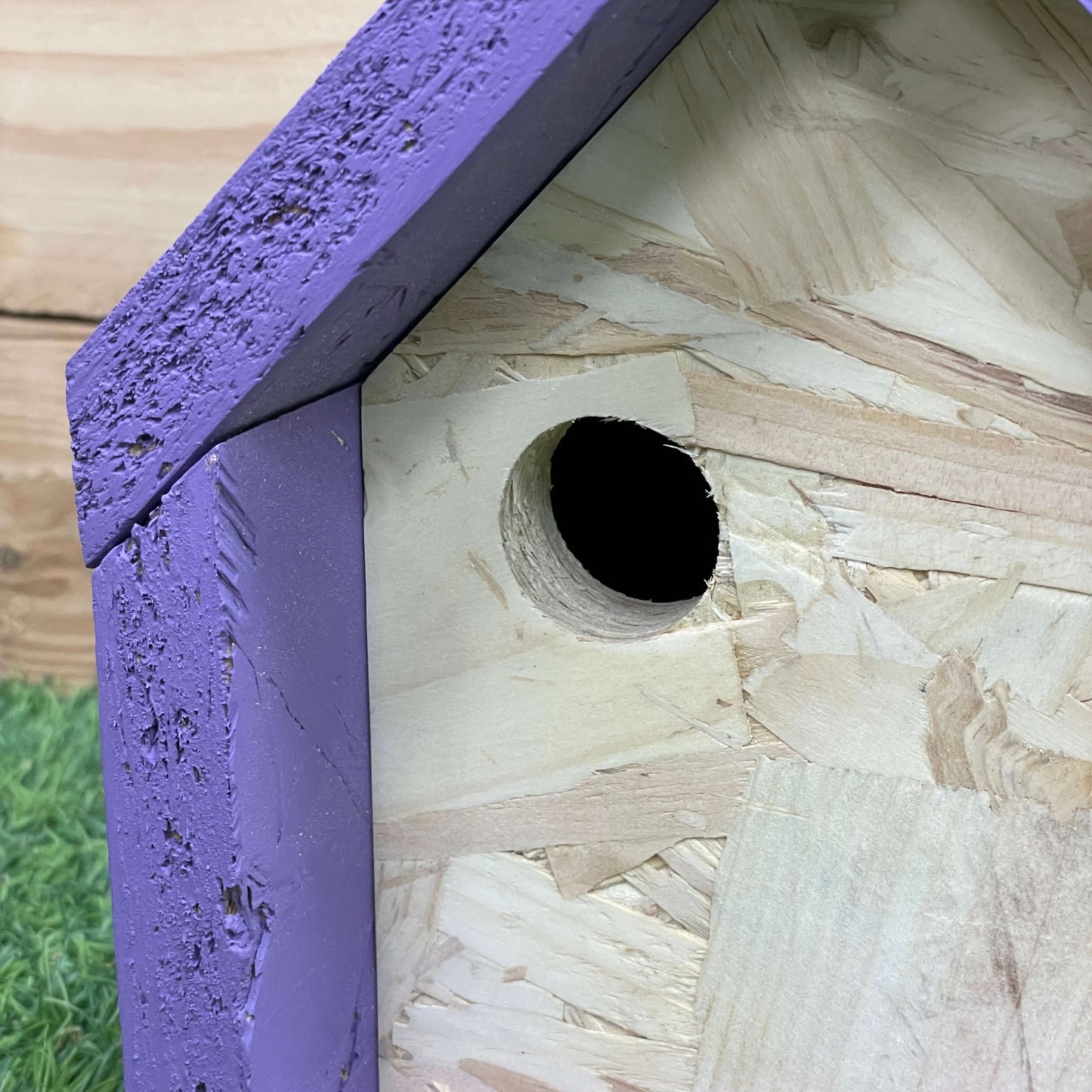 The Flit | Bird Box