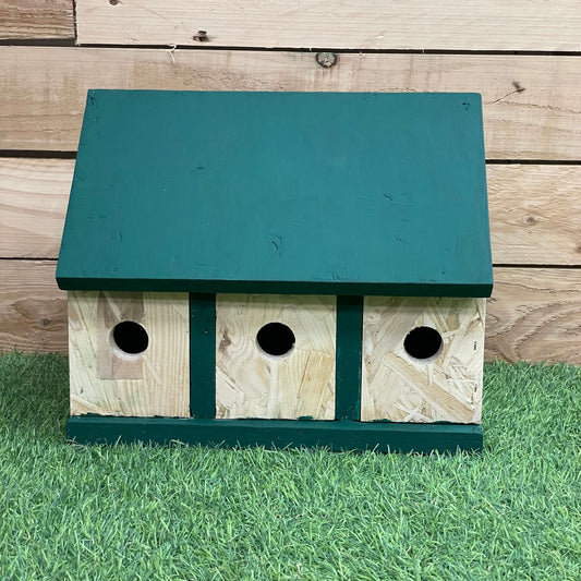 The Terrace | Bird Box